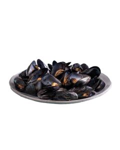 COZZE CILE INTERE SOTTOV. 1Kg