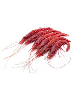 GAMBERO ROSSO II CONG 1Kg